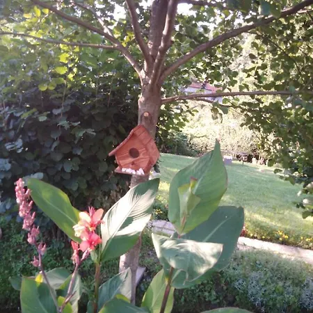 Vikendica Na Jazu Kosjeric