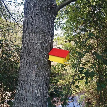 بيت للعطل Vikendica Na Jazu *