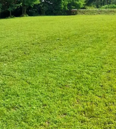 Vikendica Na Jazu Kosjeric