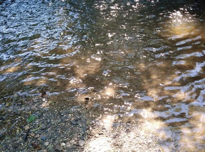 펜션 Vikendica Na Jazu Kosjeric