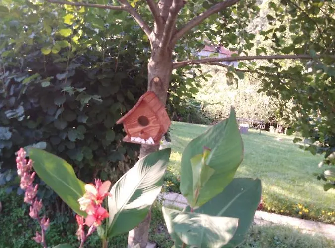 Vikendica Na Jazu Kosjeric