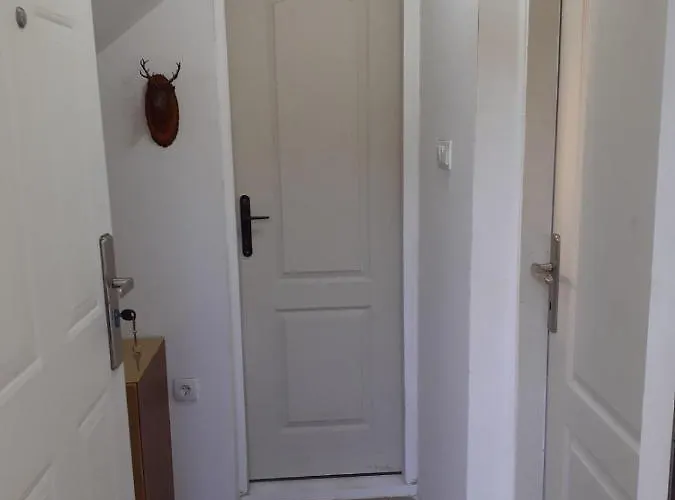 펜션 Vikendica Na Jazu Kosjeric