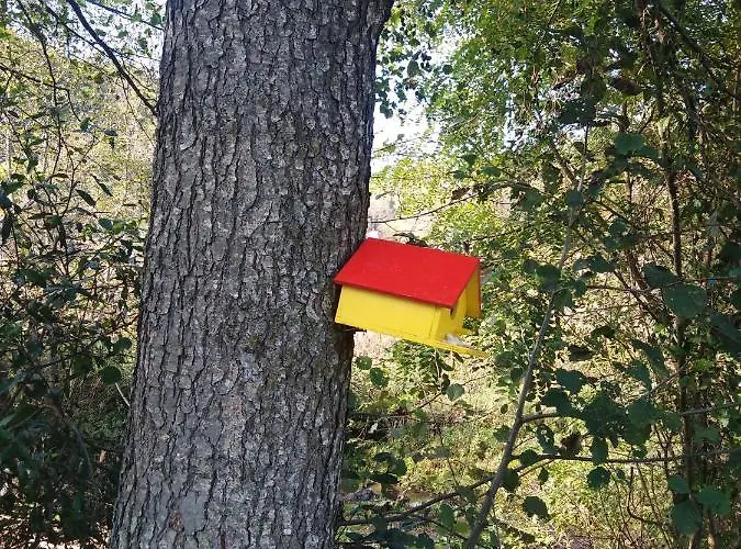 Дом отдыха Vikendica Na Jazu *