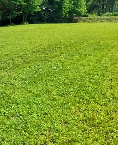 Vikendica Na Jazu Kosjeric